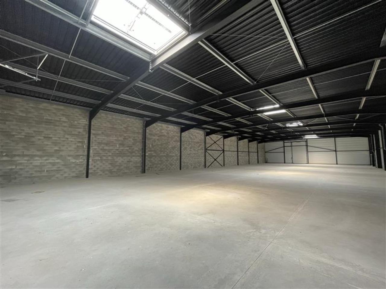 Local d'activité Mauguio 1238m² Location local d'activité Mauguio Hérault OLACT2204375 4